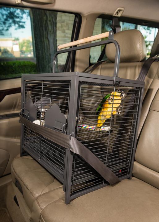 Prevue Hendryx Wrought Iron Travel Carrier - 1307
