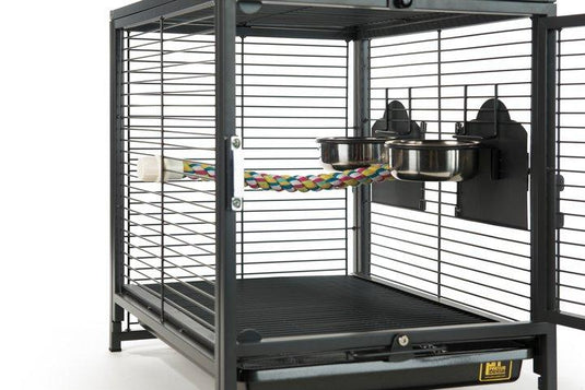 Prevue Hendryx Wrought Iron Travel Carrier - 1307