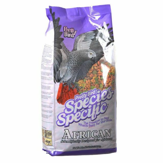 Pretty Bird Species Specific African Grey - Exotic Wings and Pet Things