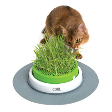 CatIt Senses 2.0 Grass Planter & Grass Seed Kit