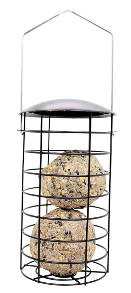 Pinebush Large Suet Ball Feeder - Exotic Wings and Pet Things