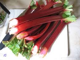 Canada Red | Rhubarb 1 Gallon