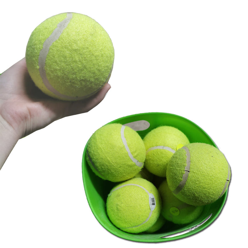 4" Squeaker Tennis Ball
