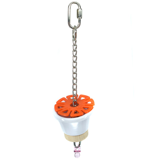 Billy Bird Small Foraging Cup Parrot Parakeet Bird Toy - 723 - Exotic Wings and Pet Things