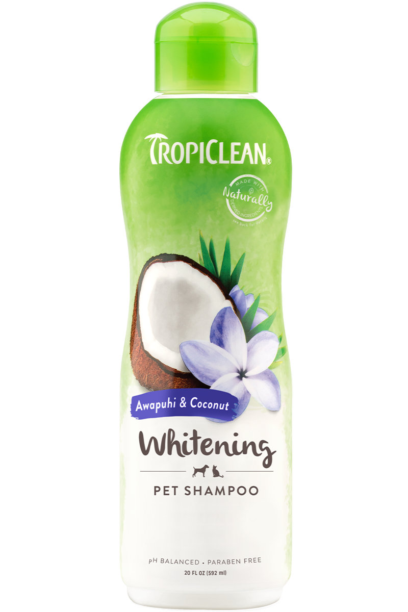 TropiClean Awapuhi & Coconut Whitening Shampoo 20 oz - Exotic Wings and Pet Things