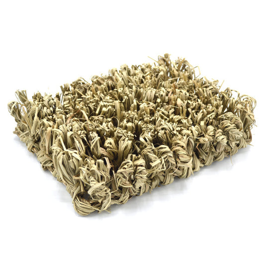 Oxbow Enriched Life Hide & Seek Mat