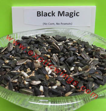 Black Magic Wild Bird Seed by Conestogo Bird Seed Company - Exotic Wings and Pet Things
