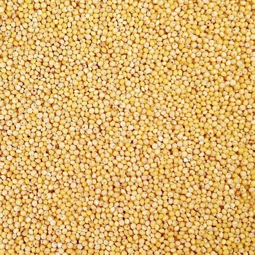White Millet by Conestogo Bird Seed Company 22.7 kg - Exotic Wings and Pet Things