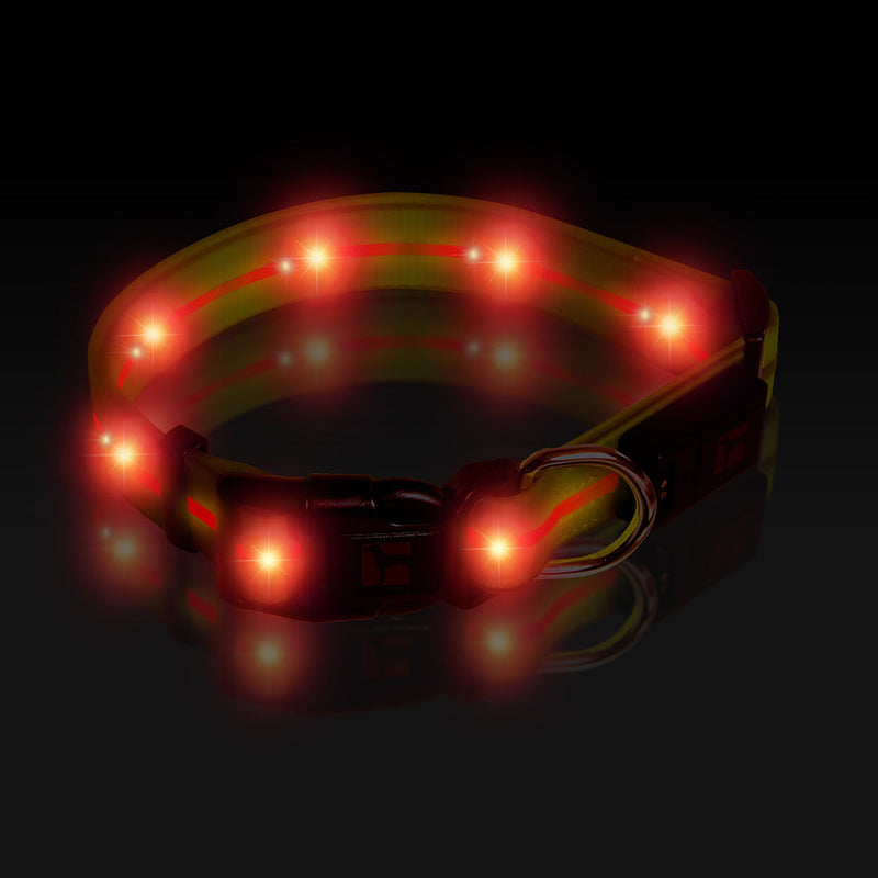 UltraHund Play LED Collar Large
