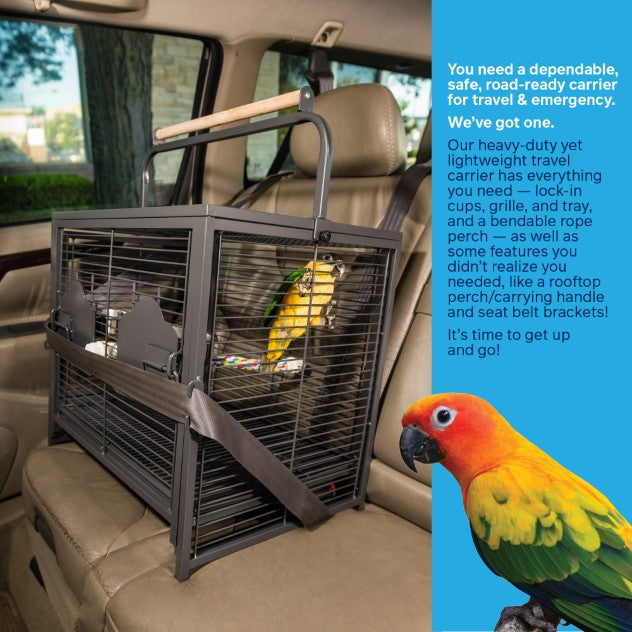 Prevue Hendryx Wrought Iron Travel Carrier - 1307
