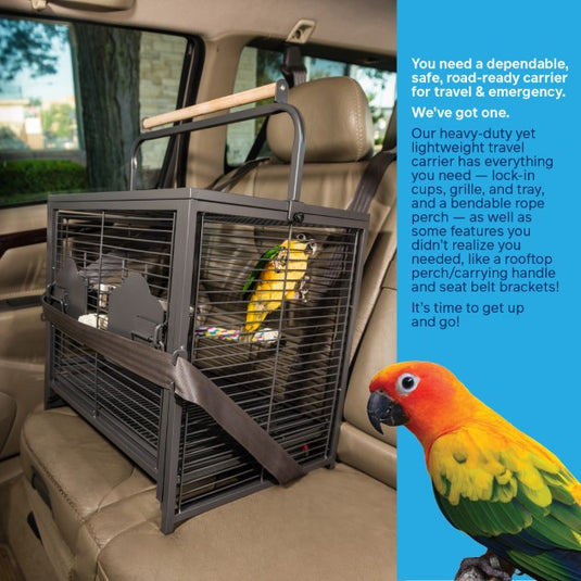 Prevue Hendryx Wrought Iron Travel Carrier - 1307